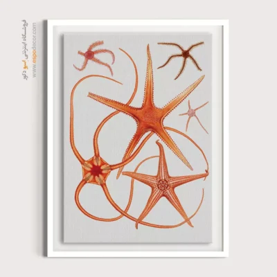 تابلو جانوران دریایی - اسپو دکور