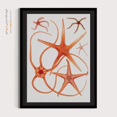 تابلو جانوران دریایی - اسپو دکور