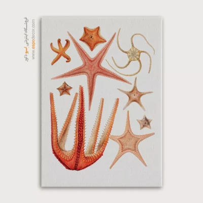 تابلو جانوران دریایی - اسپو دکور