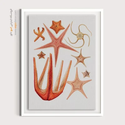 تابلو جانوران دریایی - اسپو دکور