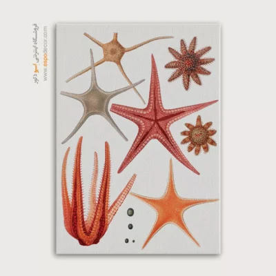 تابلو جانوران دریایی - اسپو دکور