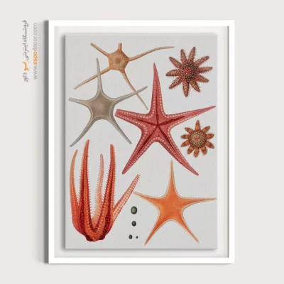 تابلو جانوران دریایی - اسپو دکور