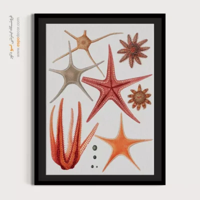 تابلو جانوران دریایی - اسپو دکور