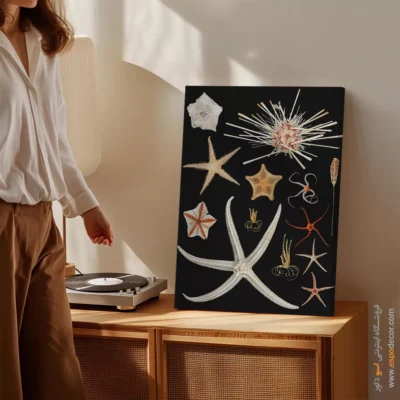 تابلو جانوران دریایی - اسپو دکور