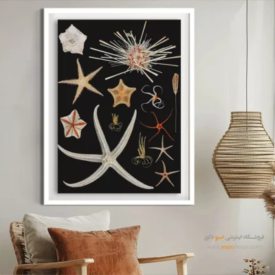 تابلو جانوران دریایی - اسپو دکور