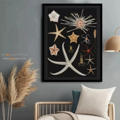 تابلو جانوران دریایی - اسپو دکور