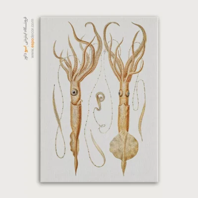 تابلو جانوران دریایی - اسپو دکور