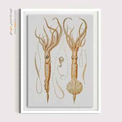 تابلو جانوران دریایی - اسپو دکور