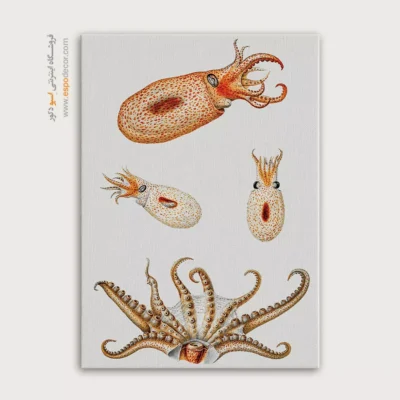 تابلو جانوران دریایی - اسپو دکور