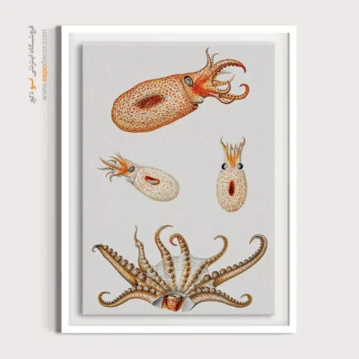 تابلو جانوران دریایی - اسپو دکور