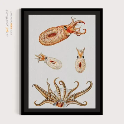 تابلو جانوران دریایی - اسپو دکور