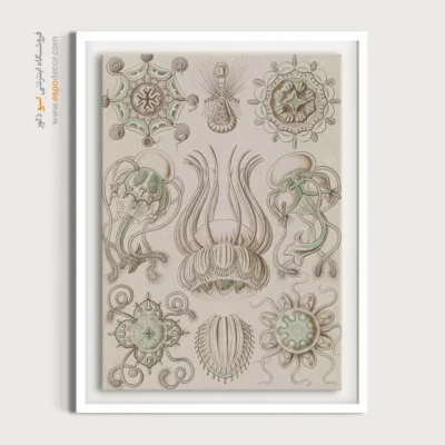 تابلو جانوران دریایی - اسپو دکور