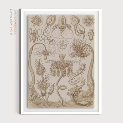 تابلو جانوران دریایی - اسپو دکور