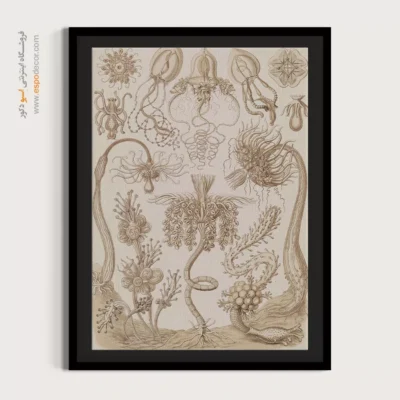 تابلو جانوران دریایی - اسپو دکور