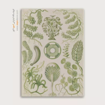 تابلو جانوران دریایی - اسپو دکور