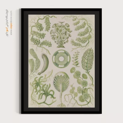 تابلو جانوران دریایی - اسپو دکور