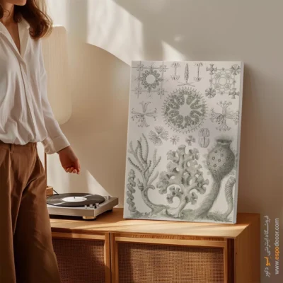 تابلو جانوران دریایی - اسپو دکور