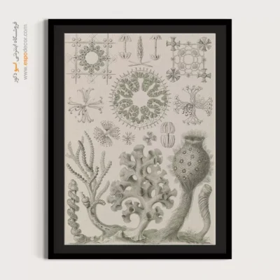 تابلو جانوران دریایی - اسپو دکور