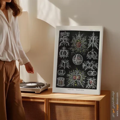 تابلو جانوران دریایی - اسپو دکور