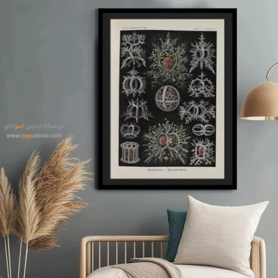 تابلو جانوران دریایی - اسپو دکور