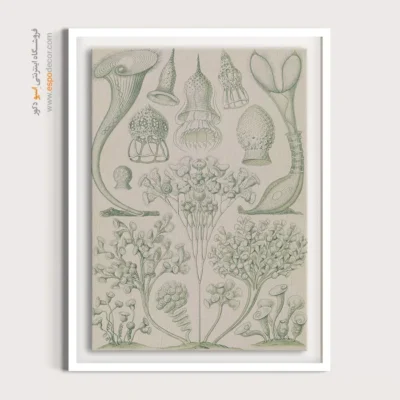 تابلو جانوران دریایی - اسپو دکور