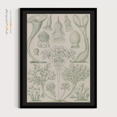 تابلو جانوران دریایی - اسپو دکور