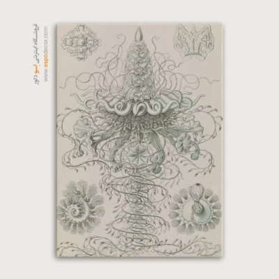 تابلو جانوران دریایی - اسپو دکور