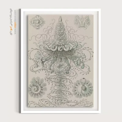 تابلو جانوران دریایی - اسپو دکور