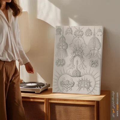 تابلو جانوران دریایی - اسپو دکور