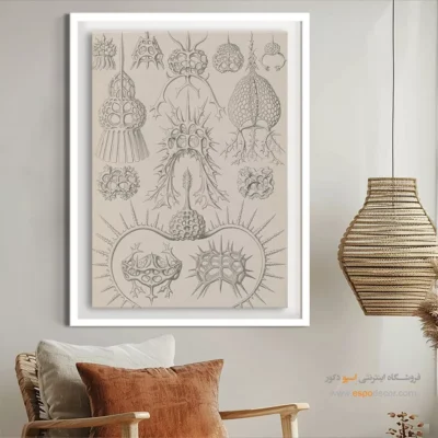 تابلو جانوران دریایی - اسپو دکور