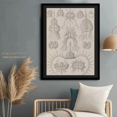 تابلو جانوران دریایی - اسپو دکور