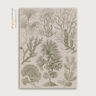 تابلو جانوران دریایی - اسپو دکور