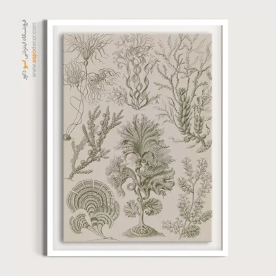 تابلو جانوران دریایی - اسپو دکور