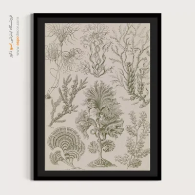 تابلو جانوران دریایی - اسپو دکور