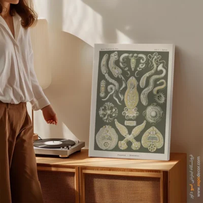 تابلو جانوران دریایی - اسپو دکور