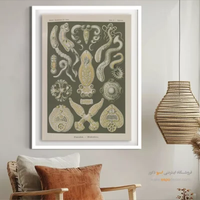 تابلو جانوران دریایی - اسپو دکور