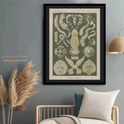 تابلو جانوران دریایی - اسپو دکور