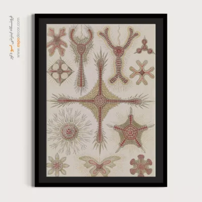 تابلو جانوران دریایی - اسپو دکور