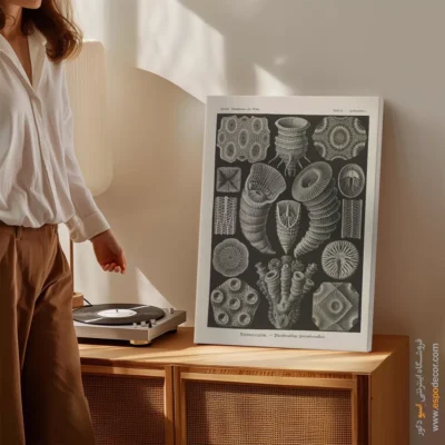 تابلو جانوران دریایی - اسپو دکور