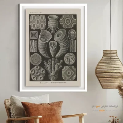 تابلو جانوران دریایی - اسپو دکور