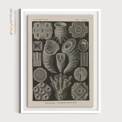 تابلو جانوران دریایی - اسپو دکور