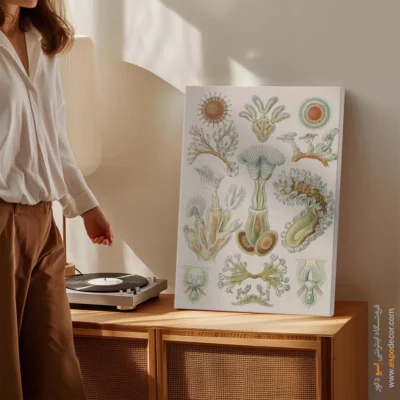 تابلو جانوران دریایی - اسپو دکور