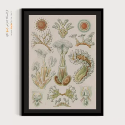 تابلو جانوران دریایی - اسپو دکور