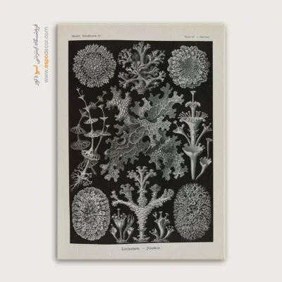 تابلو جانوران دریایی - اسپو دکور