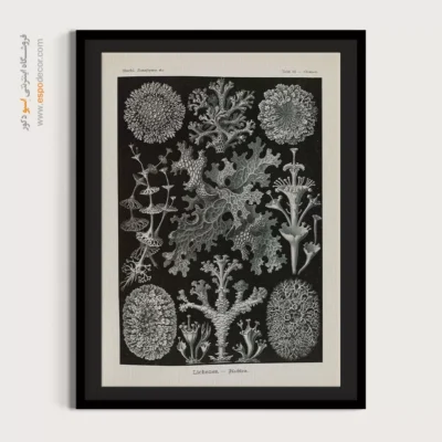 تابلو جانوران دریایی - اسپو دکور