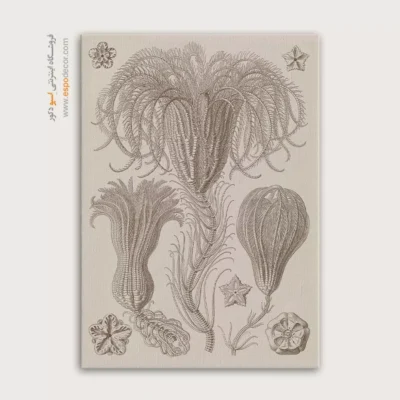 تابلو جانوران دریایی - اسپو دکور