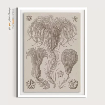 تابلو جانوران دریایی - اسپو دکور