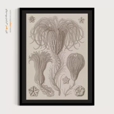 تابلو جانوران دریایی - اسپو دکور