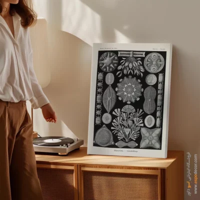 تابلو جانوران دریایی - اسپو دکور