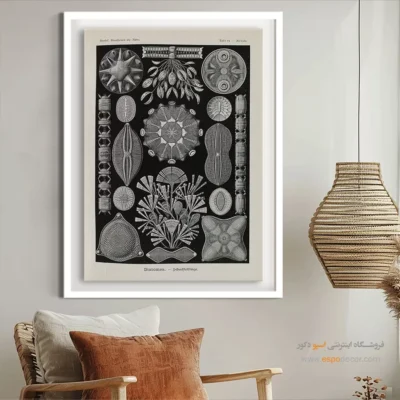 تابلو جانوران دریایی - اسپو دکور